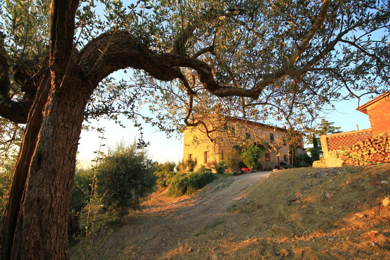 Casolare Marconi Apartamento Panicale Exterior foto